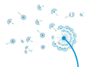 攜手長春網(wǎng)站建設(shè)，打造企業(yè)專屬的數(shù)字化門戶